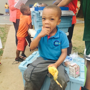 Event Home: Food For Good 2017